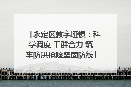 永定区教字垭镇：科学调度 干群合力 筑牢防洪抢险坚固防线