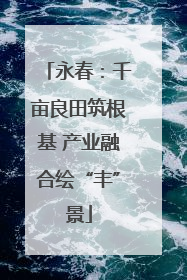 永春：千亩良田筑根基 产业融合绘“丰”景