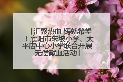汇聚热血 铸就希望！襄阳市朱坡小学、太平店中心小学联合开展无偿献血活动