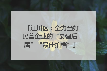 江川区：全力当好民营企业的“最强后盾”“最佳拍档”