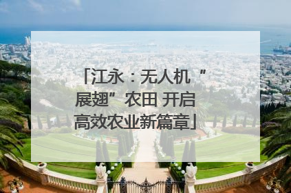 江永：无人机“展翅”农田 开启高效农业新篇章