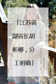 江苏省副省长胡彬郴，分工明确