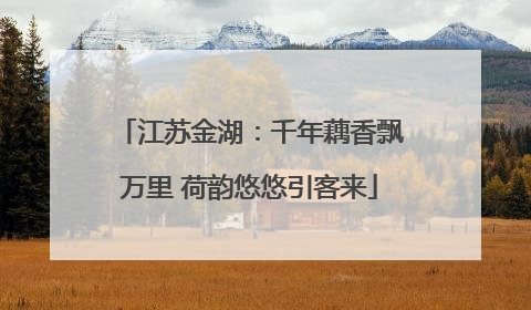 江苏金湖：千年藕香飘万里 荷韵悠悠引客来