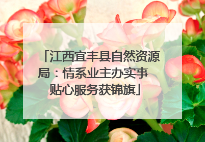 江西宜丰县自然资源局：情系业主办实事 贴心服务获锦旗