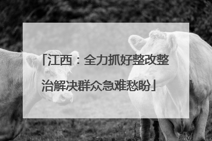 江西：全力抓好整改整治解决群众急难愁盼