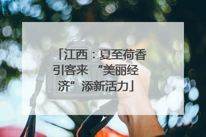 江西：夏至荷香引客来 “美丽经济”添新活力