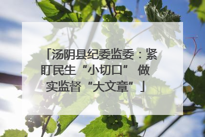 汤阴县纪委监委：紧盯民生“小切口” 做实监督“大文章”