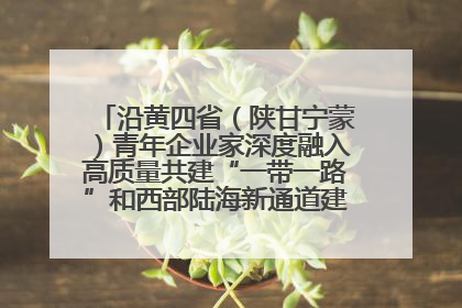 沿黄四省（陕甘宁蒙）青年企业家深度融入高质量共建“一带一路”和西部陆海新通道建设战略合作交流会在甘肃兰州召开