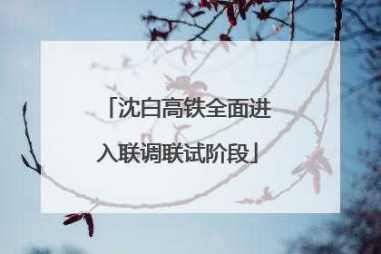 沈白高铁全面进入联调联试阶段