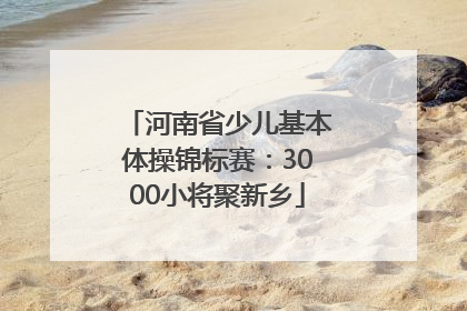 河南省少儿基本体操锦标赛：3000小将聚新乡