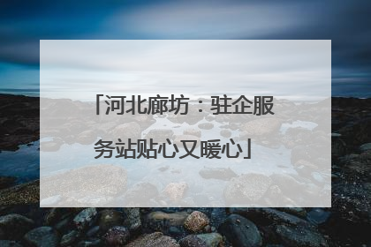 河北廊坊：驻企服务站贴心又暖心