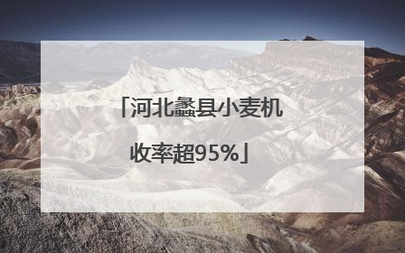 河北蠡县小麦机收率超95%