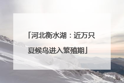 河北衡水湖：近万只夏候鸟进入繁殖期