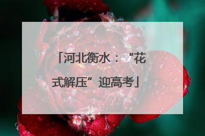 河北衡水：“花式解压”迎高考