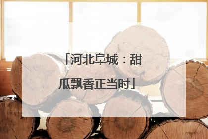 河北阜城：甜瓜飘香正当时