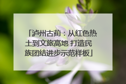泸州古蔺：从红色热土到文旅高地 打造民族团结进步示范样板