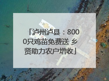 泸州泸县：8000只鸡苗免费送 乡贤助力农户增收