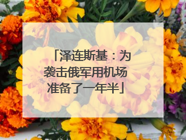 泽连斯基：为袭击俄军用机场准备了一年半