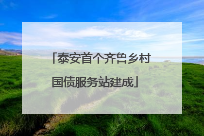 泰安首个齐鲁乡村国债服务站建成