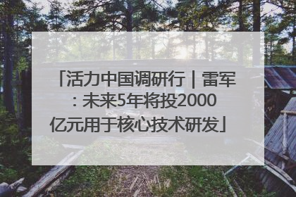 活力中国调研行｜雷军：未来5年将投2000亿元用于核心技术研发