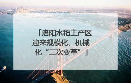 洛阳水稻主产区迎来规模化、机械化“二次变革”