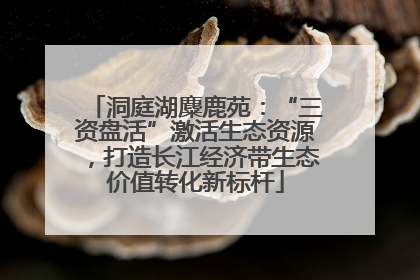 洞庭湖麋鹿苑：“三资盘活”激活生态资源，打造长江经济带生态价值转化新标杆