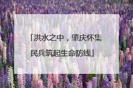 洪水之中，肇庆怀集民兵筑起生命防线
