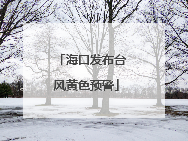 海口发布台风黄色预警