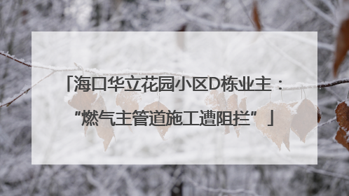海口华立花园小区D栋业主：“燃气主管道施工遭阻拦”