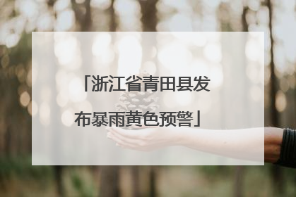 浙江省青田县发布暴雨黄色预警