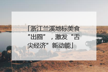 浙江兰溪地标美食“出圈”，激发“舌尖经济”新动能