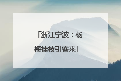 浙江宁波：杨梅挂枝引客来