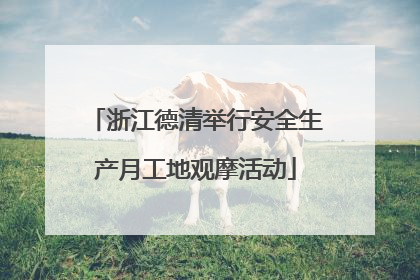 浙江德清举行安全生产月工地观摩活动