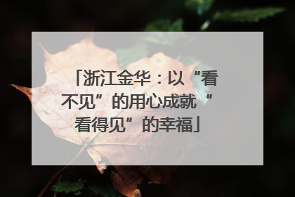 浙江金华：以“看不见”的用心成就“看得见”的幸福