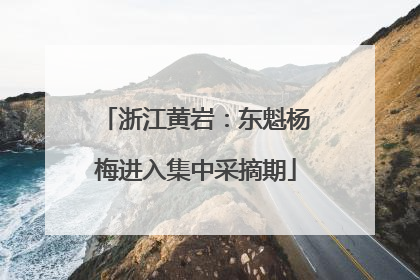 浙江黄岩：东魁杨梅进入集中采摘期