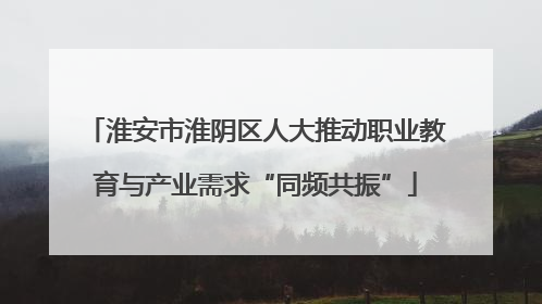 淮安市淮阴区人大推动职业教育与产业需求“同频共振”