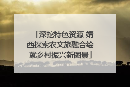 深挖特色资源 靖西探索农文旅融合绘就乡村振兴新图景