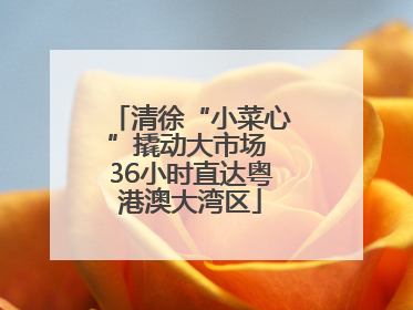 清徐“小菜心”撬动大市场 36小时直达粤港澳大湾区