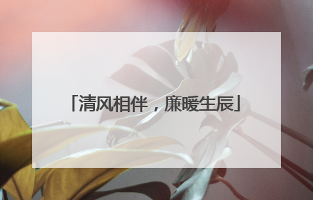 清风相伴，廉暖生辰