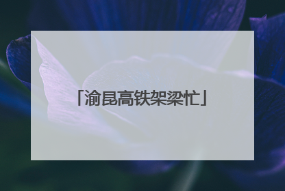 渝昆高铁架梁忙