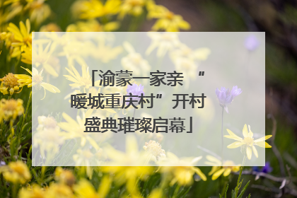 渝蒙一家亲 “暖城重庆村”开村盛典璀璨启幕