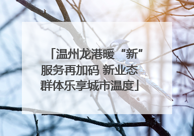 温州龙港暖“新”服务再加码 新业态群体乐享城市温度