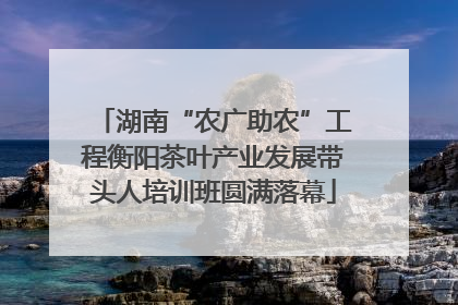 湖南“农广助农”工程衡阳茶叶产业发展带头人培训班圆满落幕