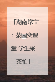 湖南常宁：茶园变课堂 学生采茶忙