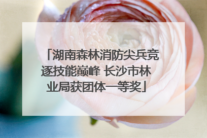 湖南森林消防尖兵竞逐技能巅峰 长沙市林业局获团体一等奖