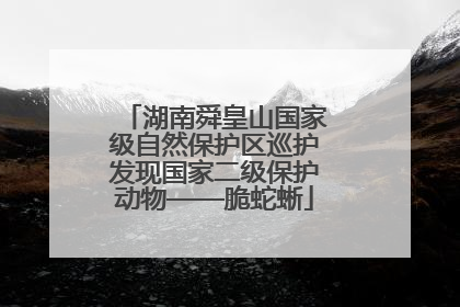 湖南舜皇山国家级自然保护区巡护发现国家二级保护动物——脆蛇蜥