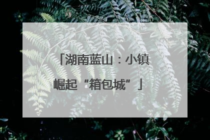 湖南蓝山：小镇崛起“箱包城”
