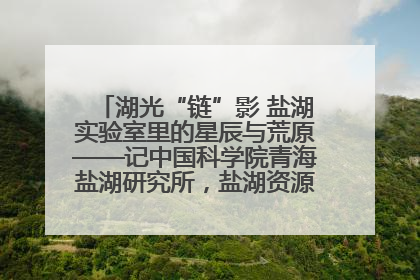 湖光“链”影 盐湖实验室里的星辰与荒原——记中国科学院青海盐湖研究所,盐湖资源化学实验室党总支书记、副主任刘忠