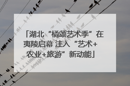 湖北“橘颂艺术季”在夷陵启幕 注入“艺术+农业+旅游”新动能