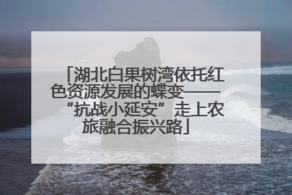 湖北白果树湾依托红色资源发展的蝶变——“抗战小延安”走上农旅融合振兴路